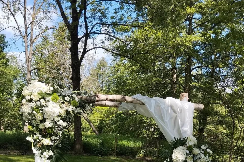 L'écrin Végétal — photo 7