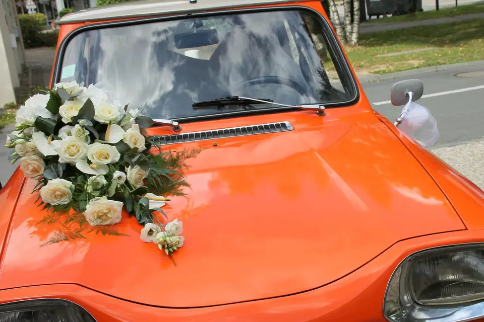 L'écrin Végétal — photo 3