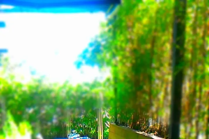 Restaurant le 55 — photo 4