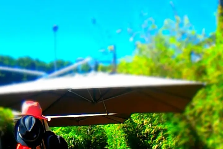 Restaurant le 55 — photo 5