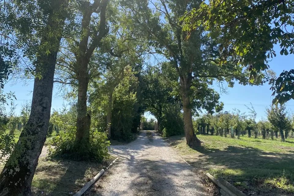 Domaine du Catalan — photo 8