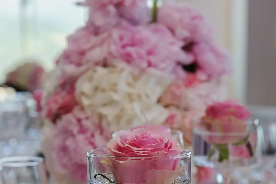 Ma Petite Mise en Scène — photo 1