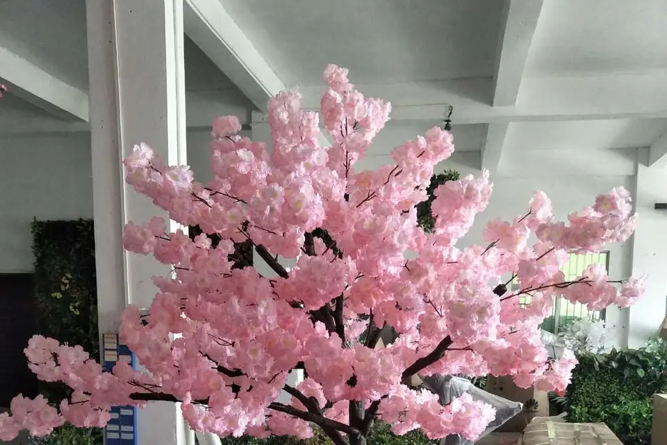 Ma Petite Mise en Scène — photo 6