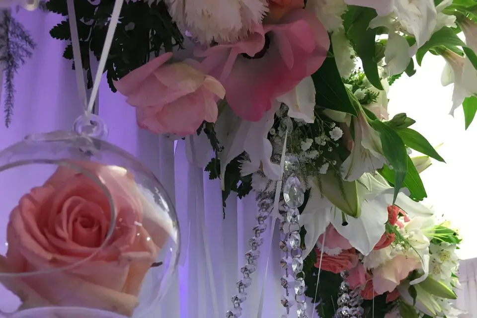 Ma Petite Mise en Scène — photo 7