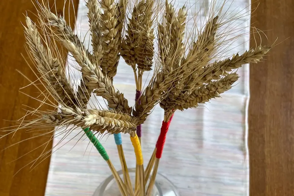 Esquisse — photo 4