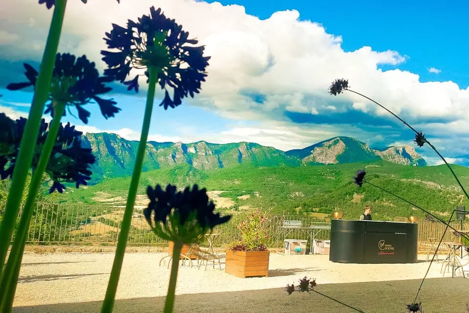 Mamzelle Cocktail — photo 4