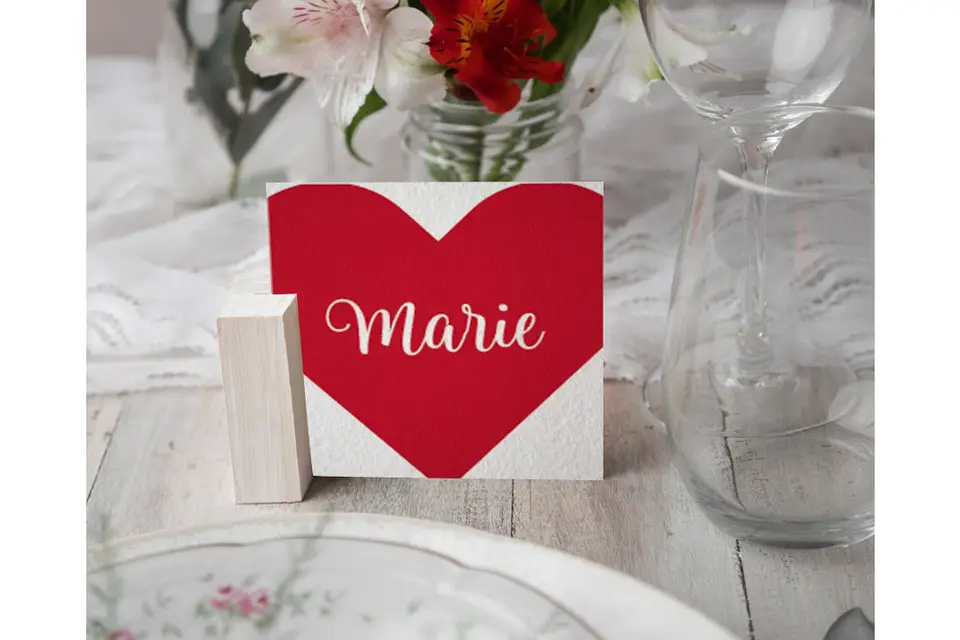 Anne-Laure Caridel Graphiste — photo 7