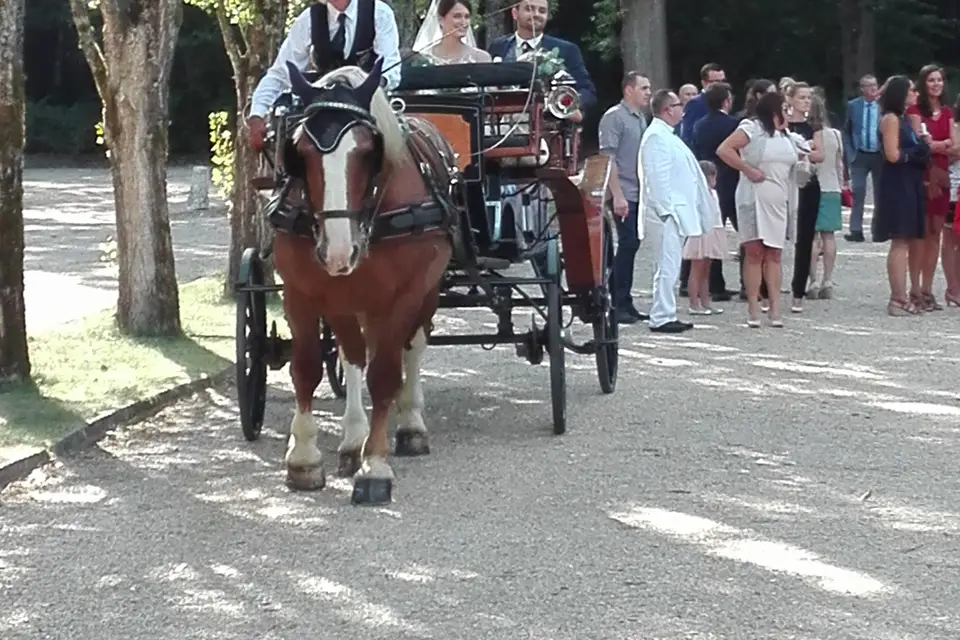 Attelages Ken Ha Ken — photo 4