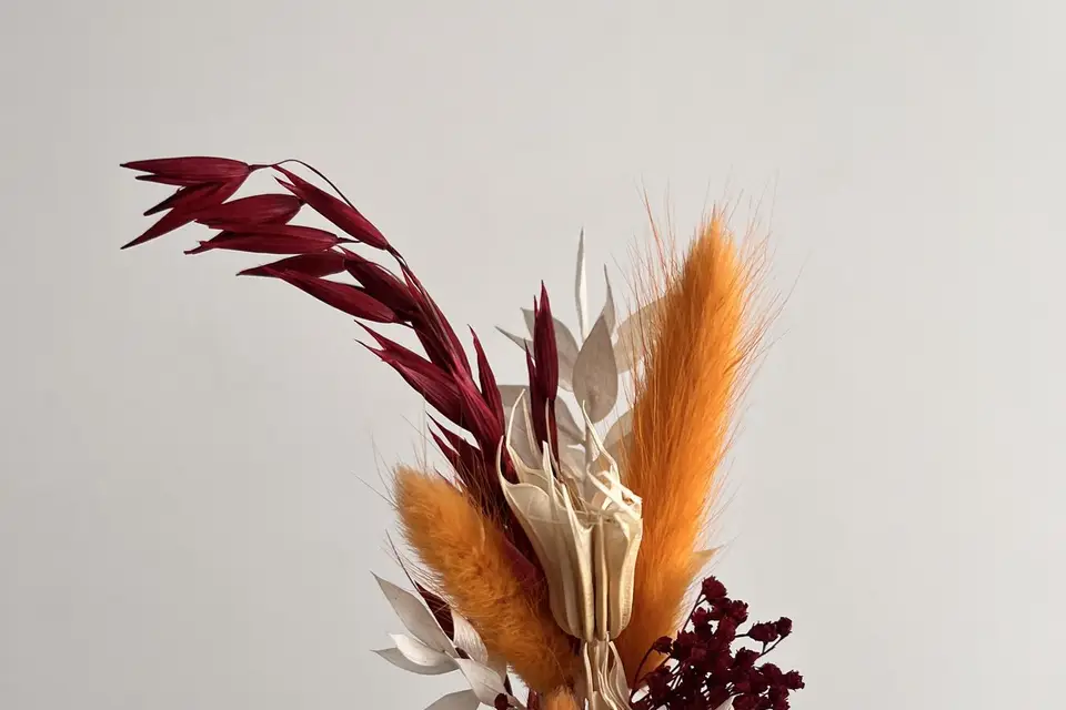 Les Trésors d’Elisa — photo 2