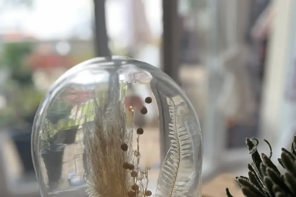 Les Trésors d’Elisa — photo 8