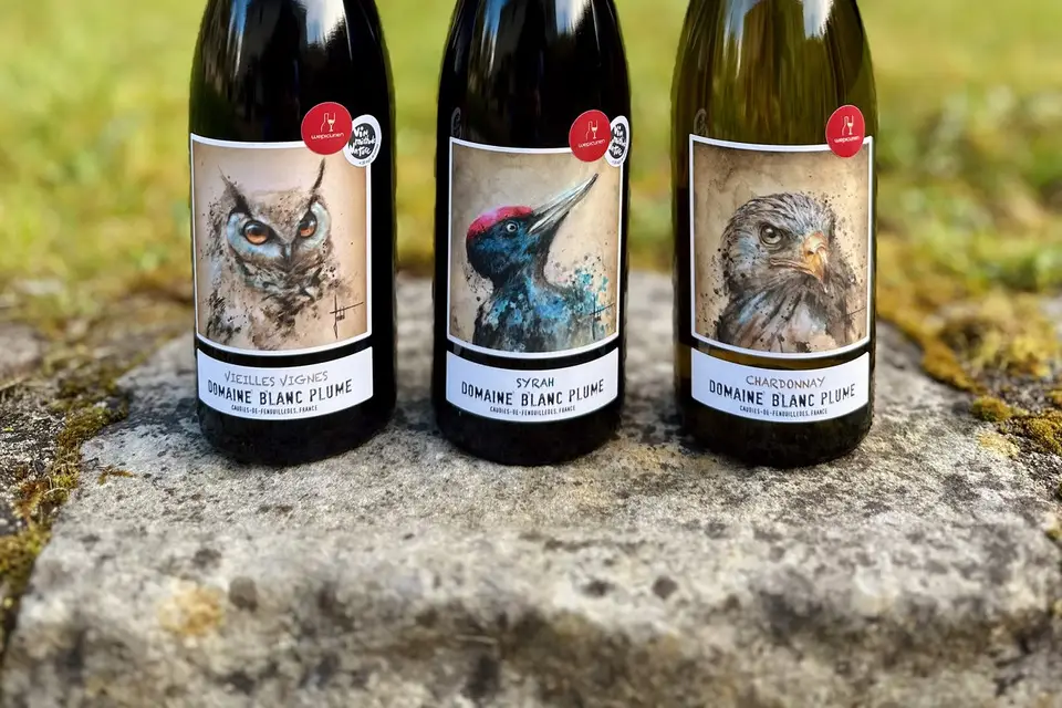 Wepicurien — photo 2