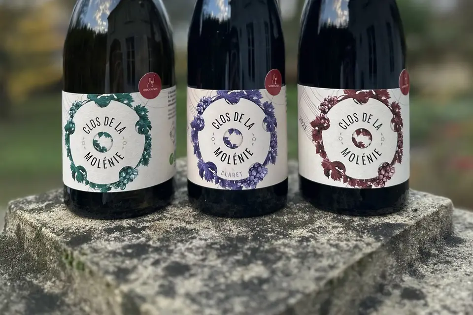 Wepicurien — photo 3