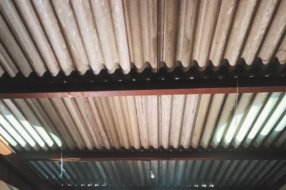 Blacklight — photo 3