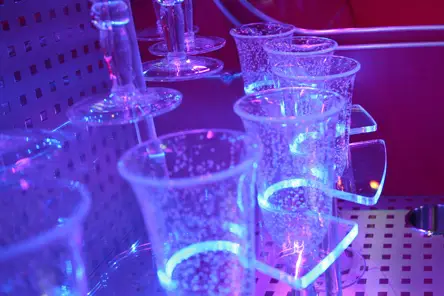 Partybus — photo 4