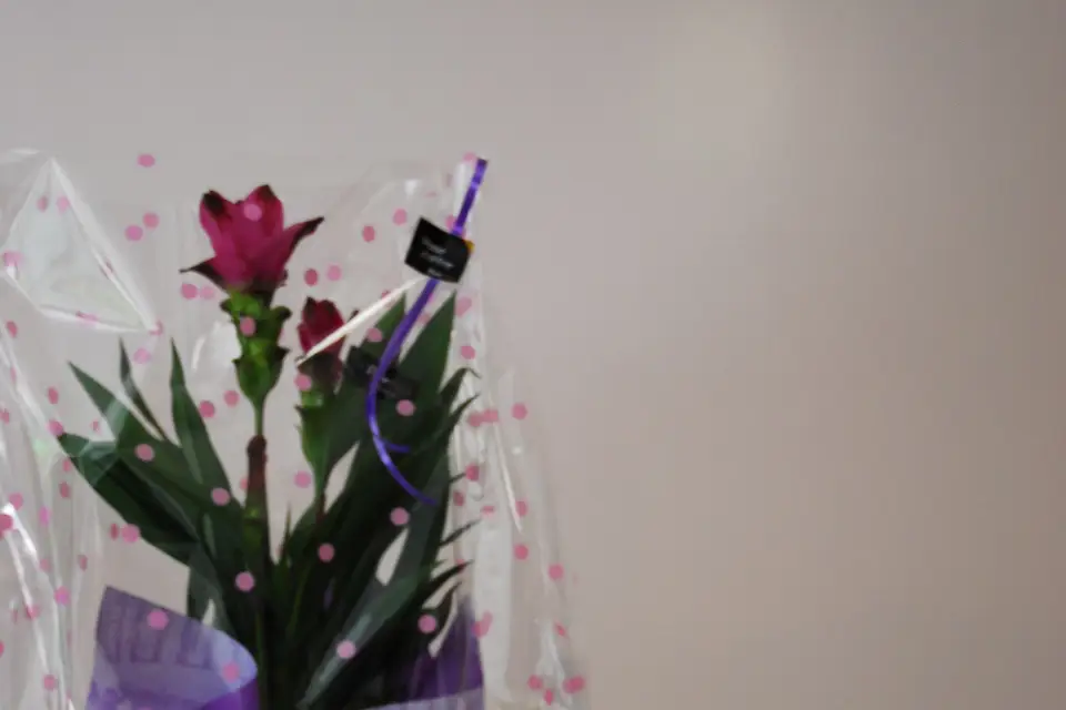 Papilles et Vous — photo 6