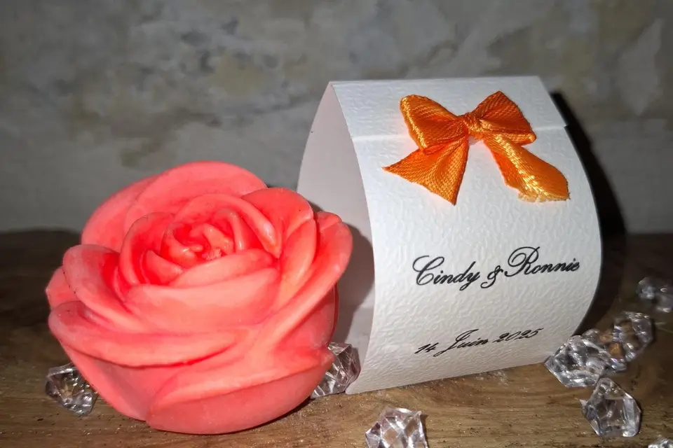 Douces Lueurs du Marais — photo 2