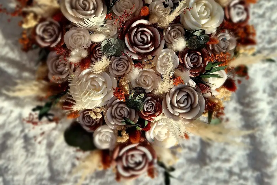 Douces Lueurs du Marais — photo 5