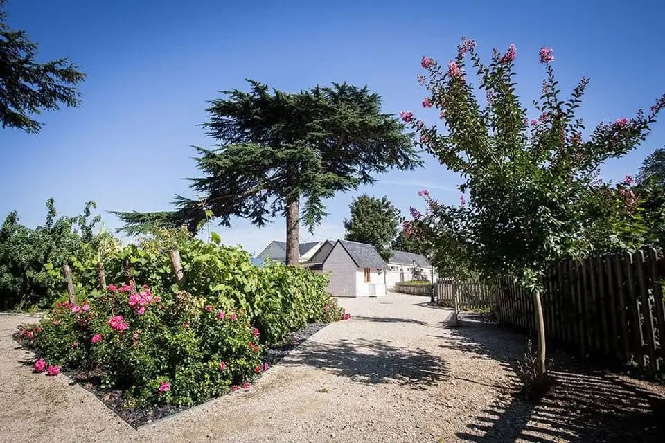 Le Clos du Loir — photo 6