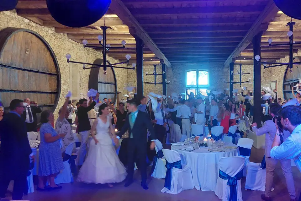 Challenger  Animation — photo 2