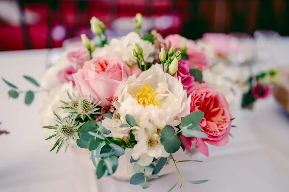 Delphine Boissat — photo 8