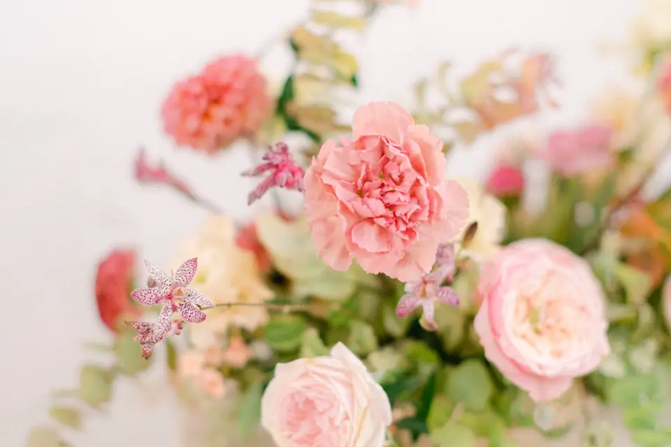 Floréal Design — photo 4