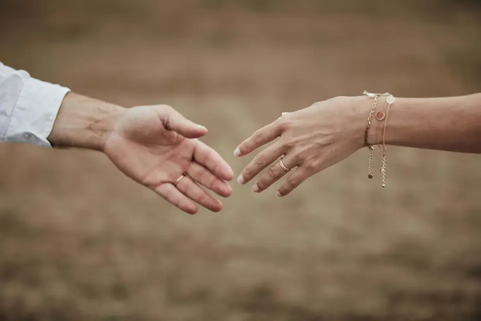 BIP Studio — photo 3