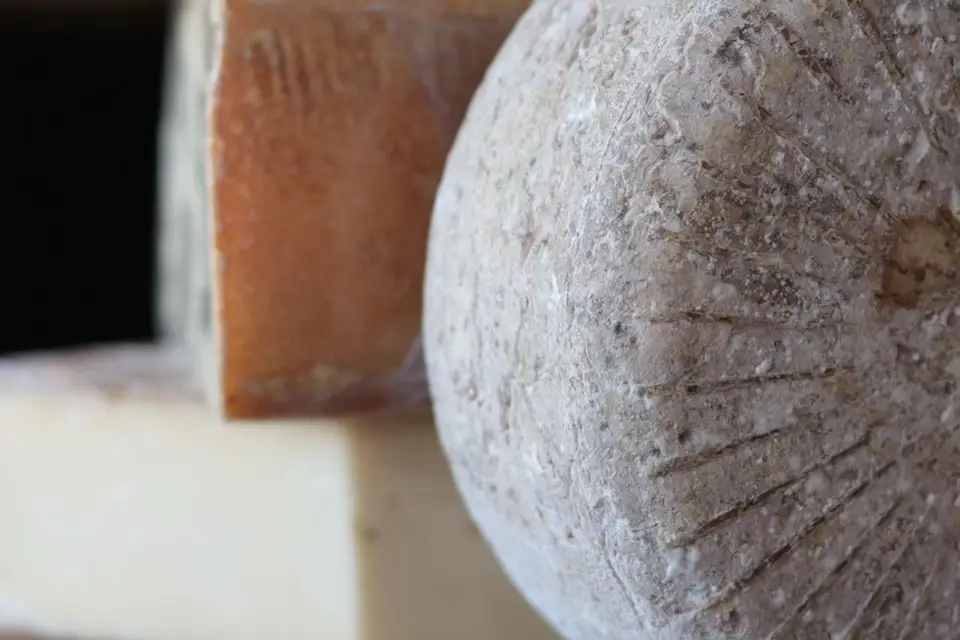 Fromagerie Garona — photo 5