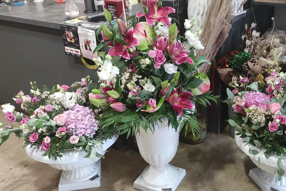 Le temps d'une fleur — photo 4