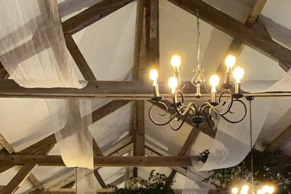 Daily Chic — photo 9