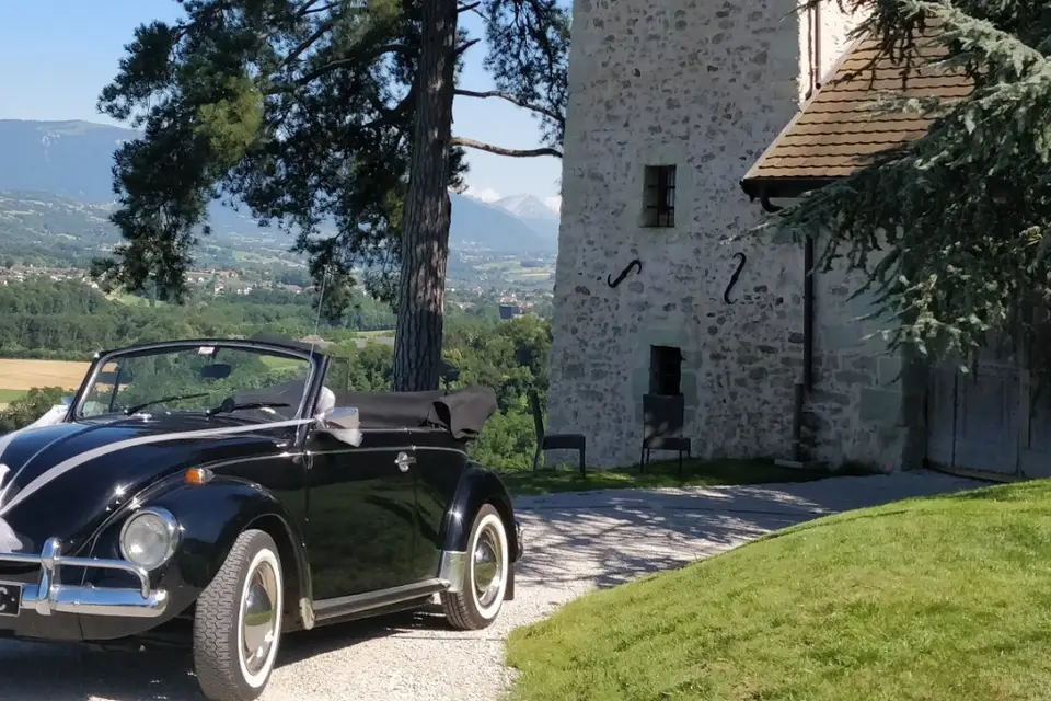 Cox-Events — photo 4