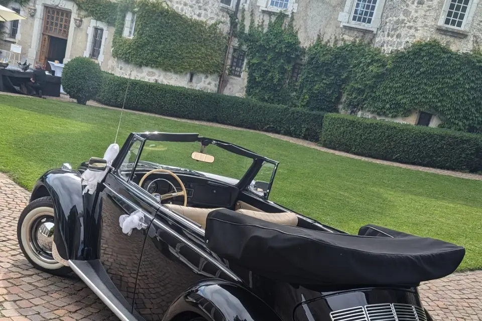 Cox-Events — photo 8