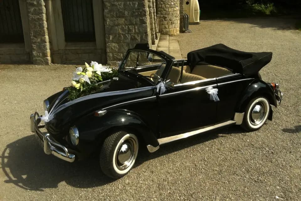 Cox-Events — photo 1