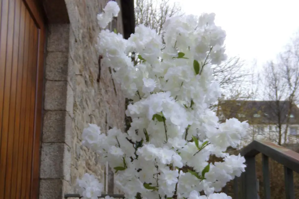 Gigi à fleurs d'idées — photo 7