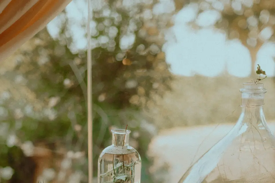 Mademoiselle Estelle — photo 3