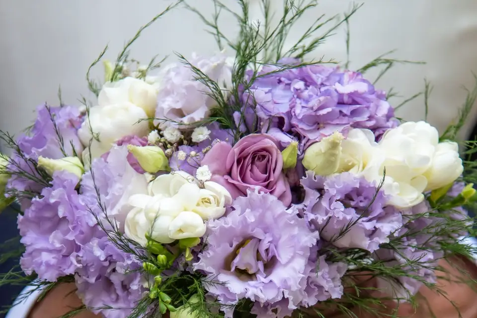 Objectif Souvenirs — photo 5