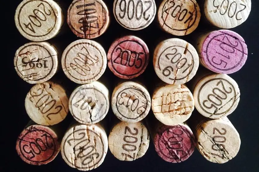 Cellar-Doors — photo 4