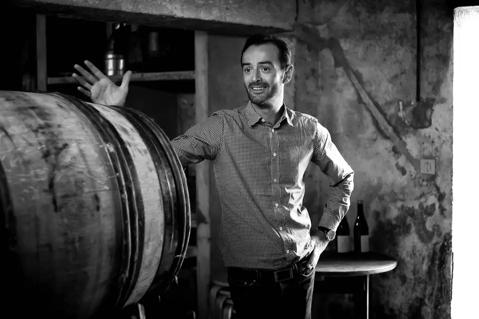 Cellar-Doors — photo 6