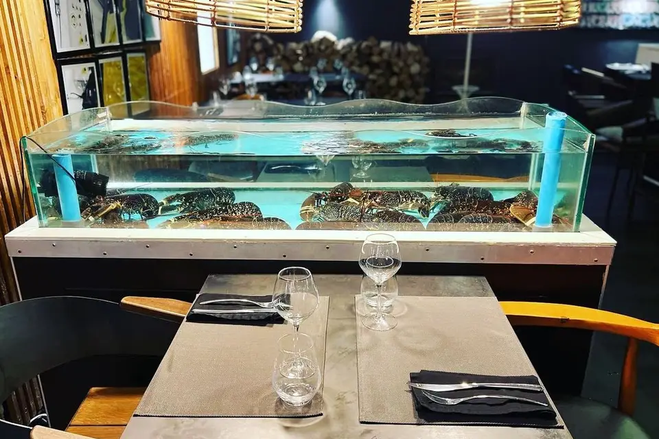 Le Homard Frites — photo 5