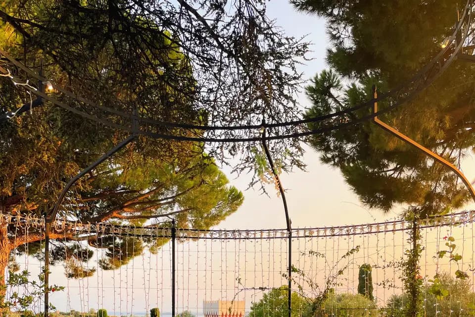 La passion des Mets — photo 2