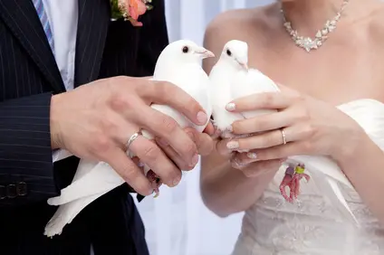 Pigeondemariage