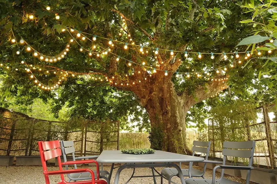 En Avant Guinguette ! — photo 8