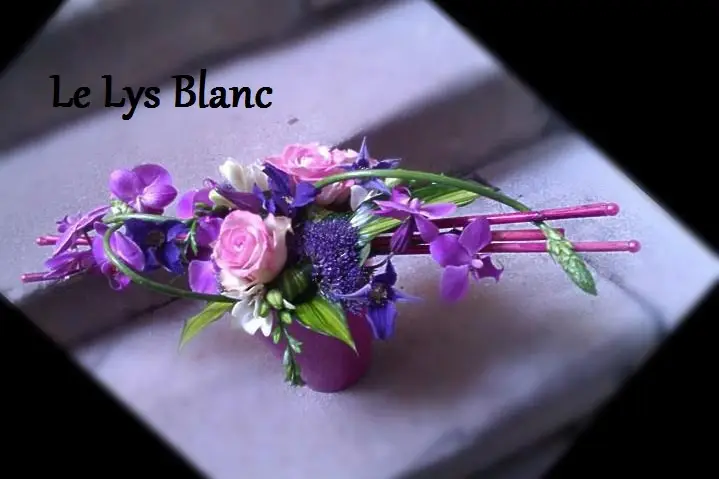 Le Lys Blanc — photo 7