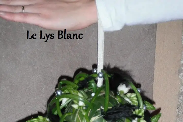 Le Lys Blanc — photo 6