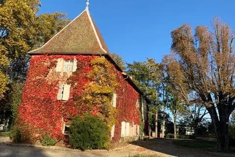 Château de Joyeuse — photo 5