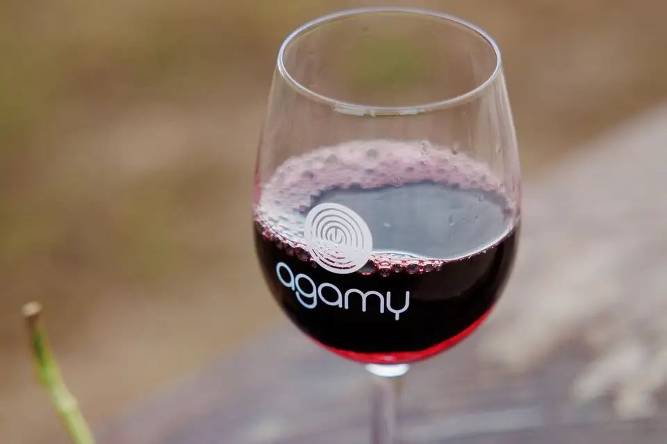 Agamy Vilavigne Trelins — photo 3