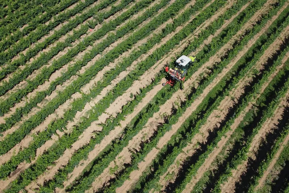 Agamy Vilavigne Trelins — photo 8