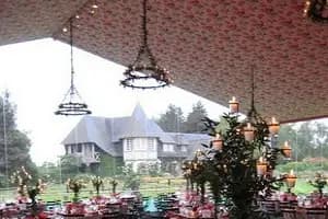 One Events — photo 8