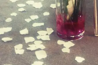 Marion-nous ! — photo 7