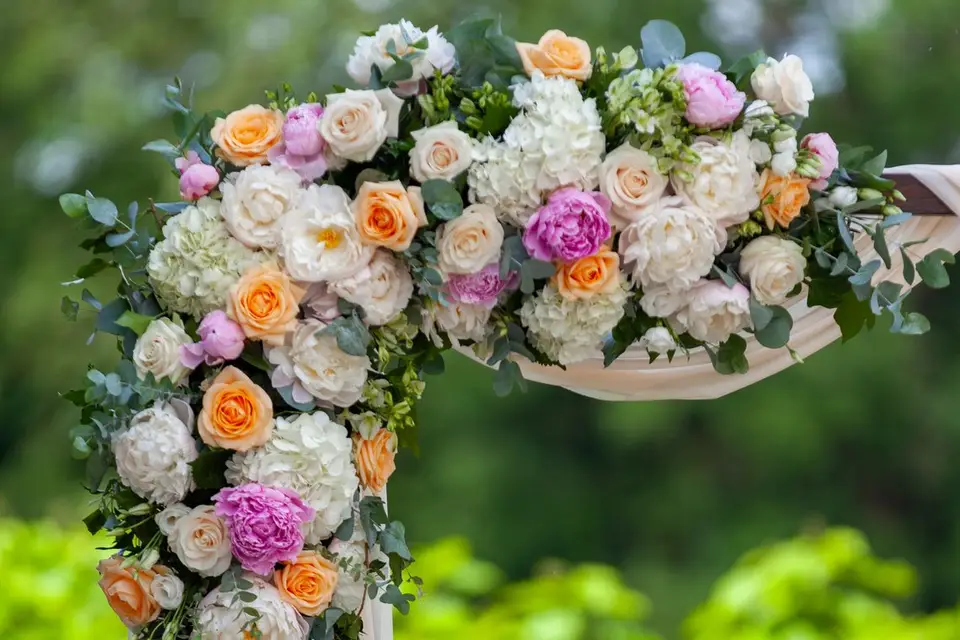 My Events &Co — photo 2