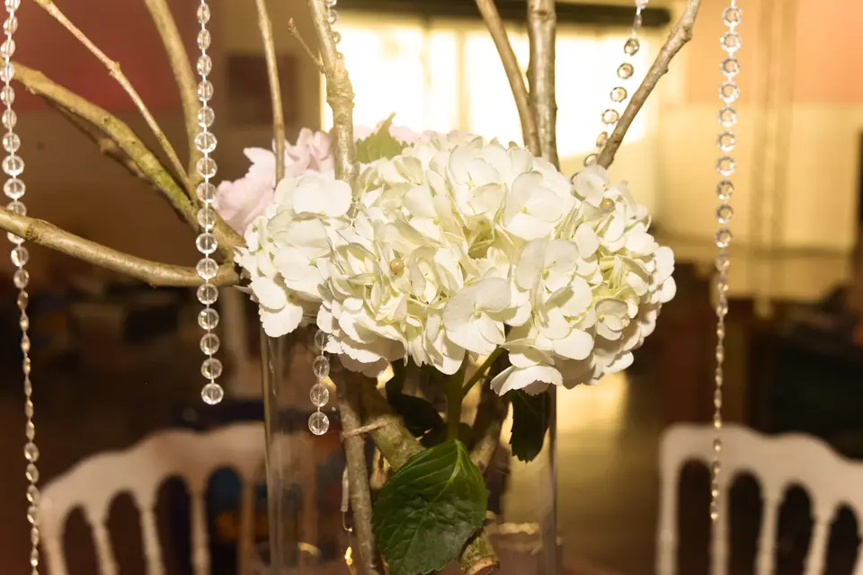 Marion-nous ! — photo 8